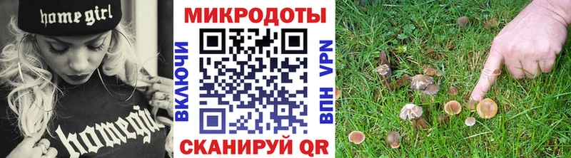 Галлюциногенные грибы GOLDEN TEACHER  нарко площадка телеграм  Родники 
